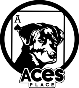 Ace+Ace+2@4x