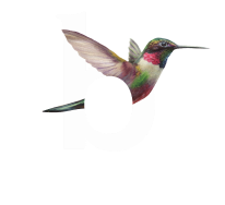 binske