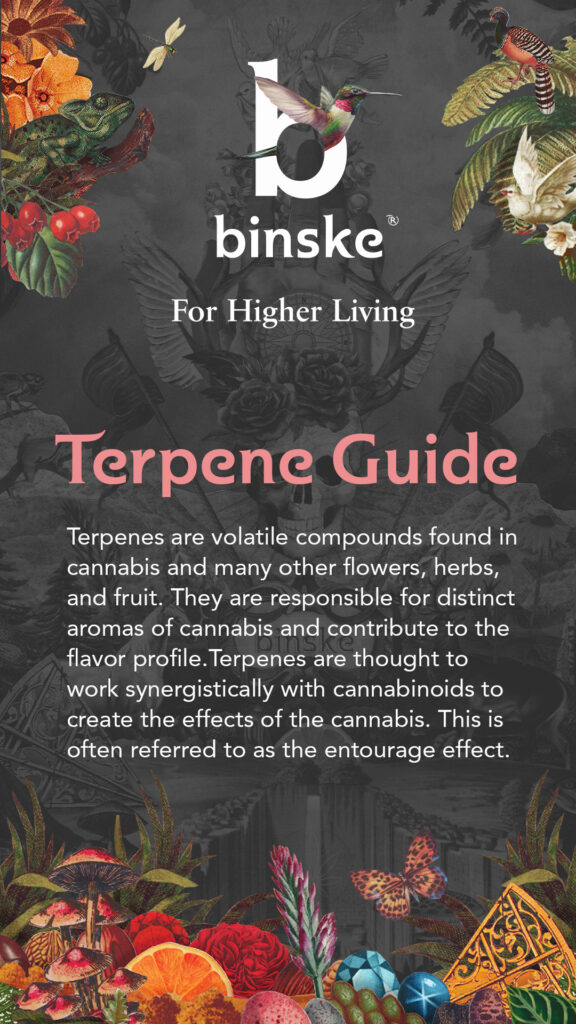 terp guide cover