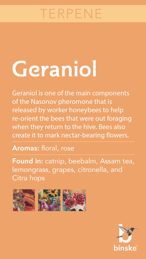 Garaniol terpene