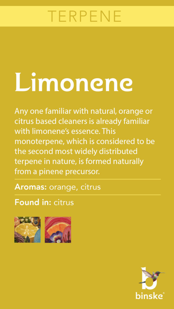 limonene terepene