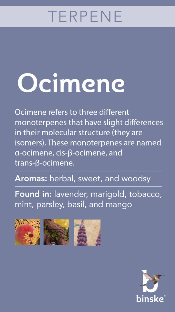 Ocimene terpene