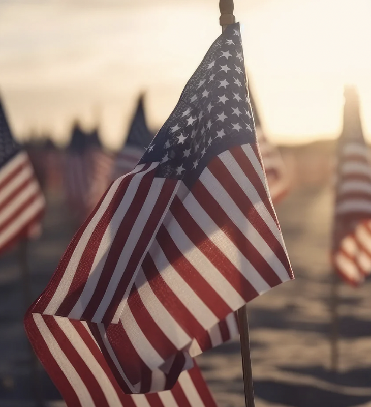 american flag in the sun and sand