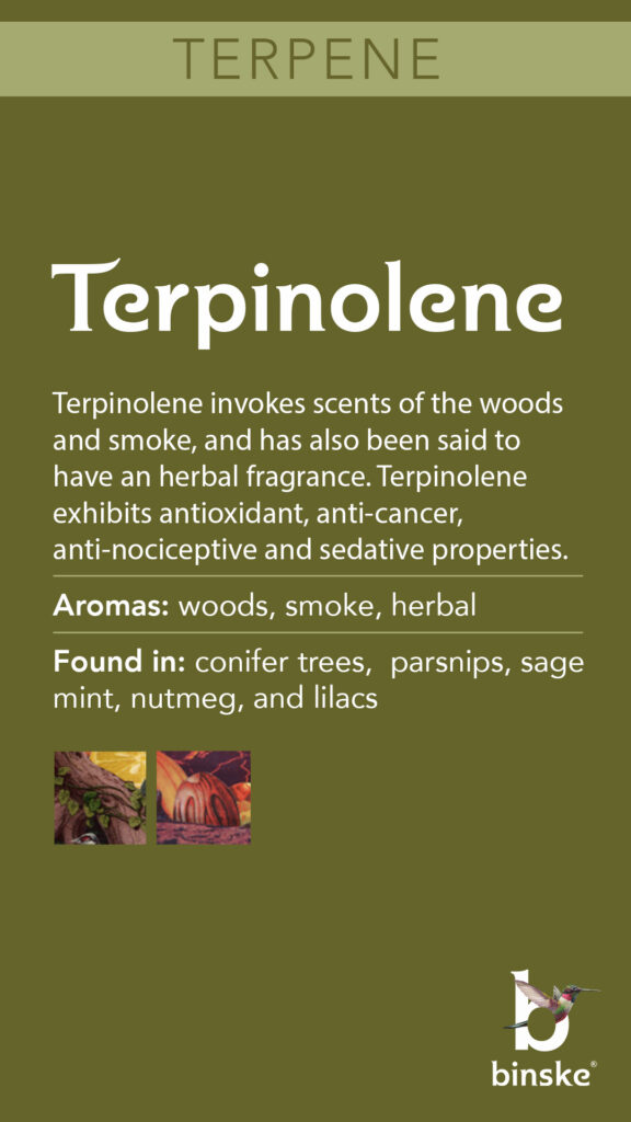 terpene Terpinolene