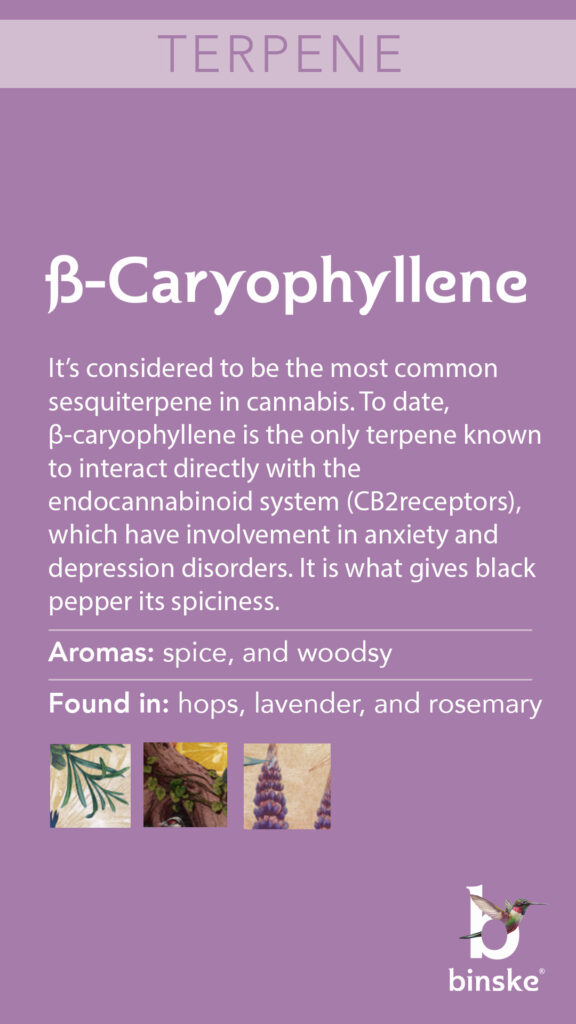 ß‐Caryophyllene terpene