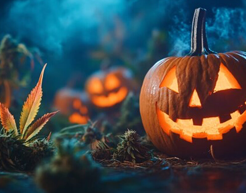 Halloween Header Image