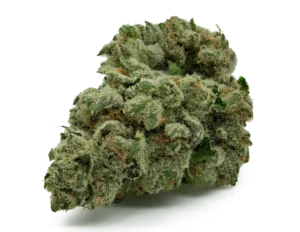 Triangle-Sorbet-Nug-Shadow