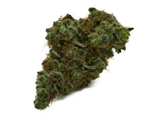 Zest-Zinger-Nug-Shadow