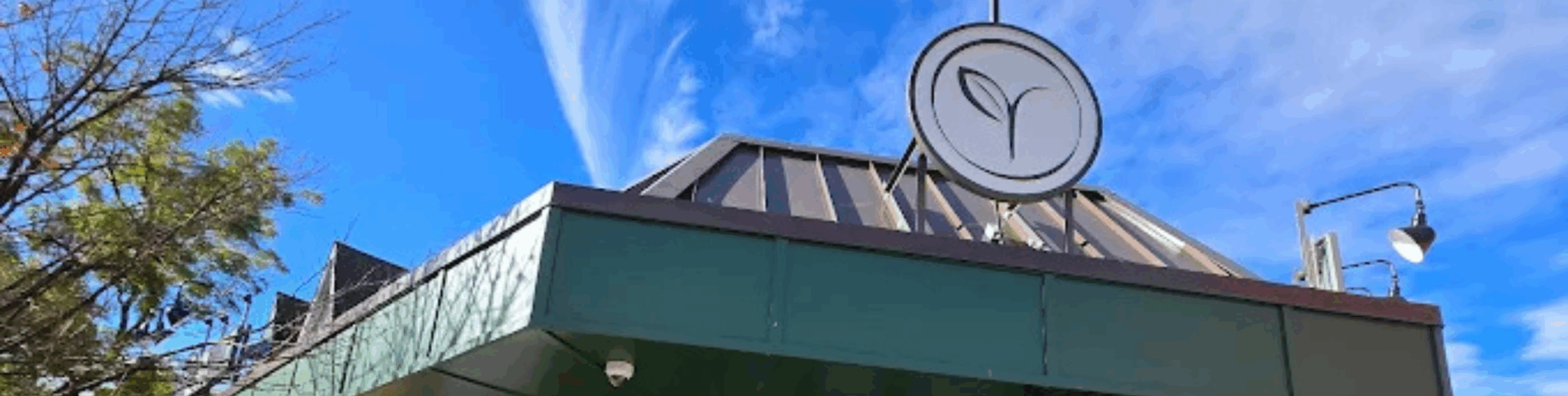 Partner Pages: Gynsyng – Cultivating Curiosity and Community in Merchantville, NJ