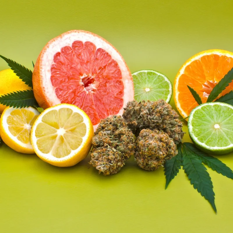 AdobeStock_292567904-(1)