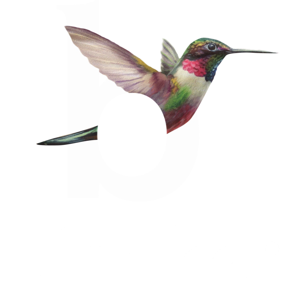 logo binske clear