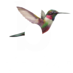 logo-binske-clear
