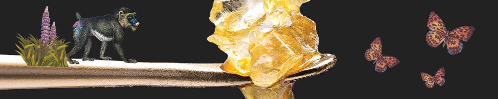binske Concentrates Products